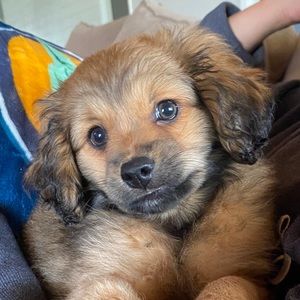 Meet your Posher, Courtney